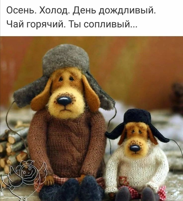 Осень Холод День дождливый Чай горячий Ты сопливый