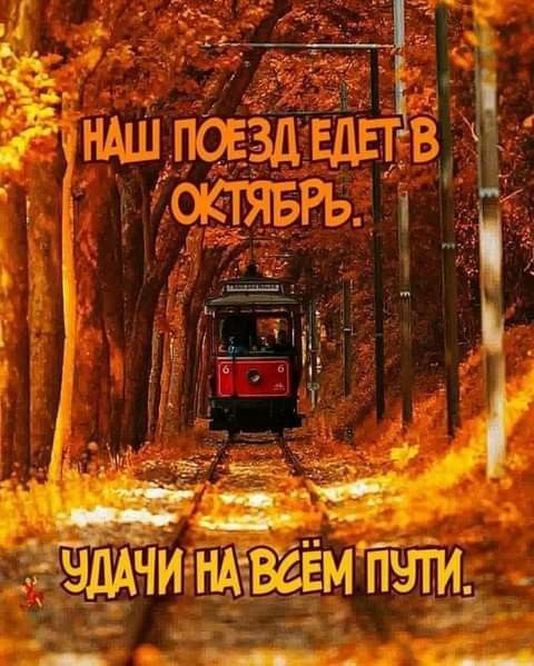 г _ 5 1 _ 53 _ ы ___