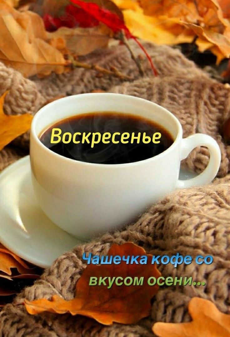 ч  й цшечка кофр?;  вкусом оэн'4 ч