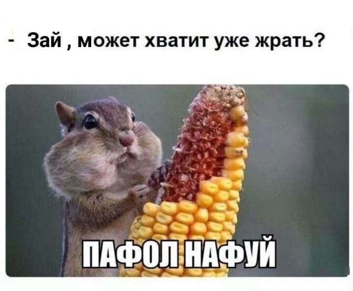 Зай может хватит уже жрать т пдфопндфий
