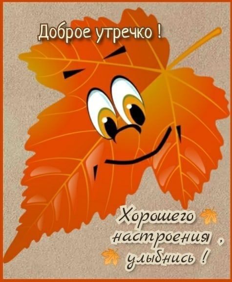 В Хорошего настщенят ААЫЗЯИДЬ