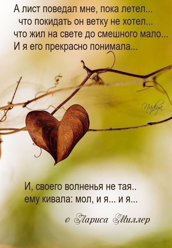 А ЛИСТ ПОВЭДЗЛ мне пока ЛЭТЗЛ ЧТО ПОКИДЗТЬ ОН ветку не ХОТЕЛ ЧТО ЖИЛ на свете ДО СМЭШНОГО МЗЛО И Я его прекрасно ПОНИМЗЛЗ И своего волненья не тая ивапа мол и я и я ариса пляж и