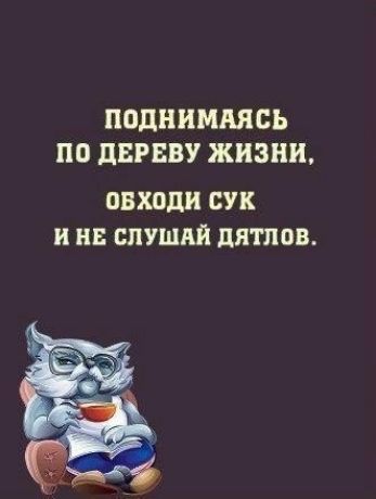 ПОДНИММСЬ ПВ ЦБРЕВУ ЖИЗНИ овходи сук и на спушпи дятлов