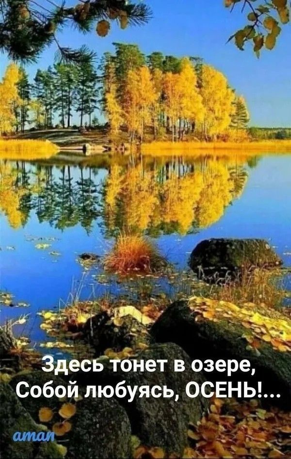 _ Здесь тонет в озере Собой любуясь ОСЕНЬ атм