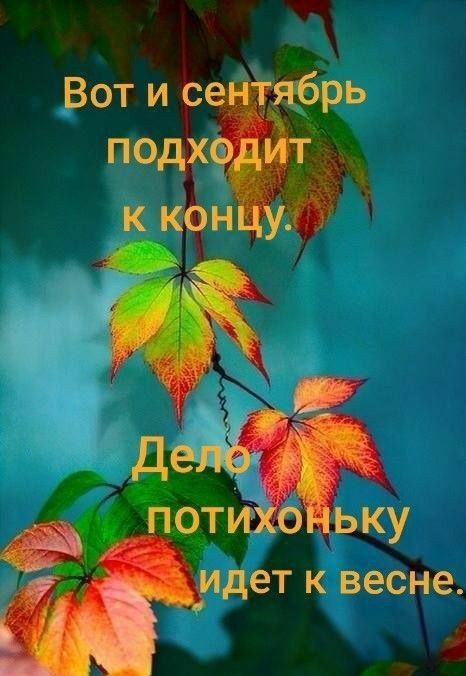 оти ьку ДЕТ К весне