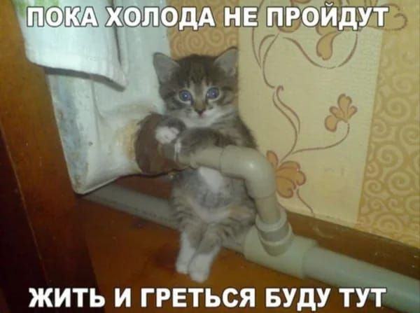 ЖИТЬ И ГРЕТЬСЯ БУДУ ТУТ