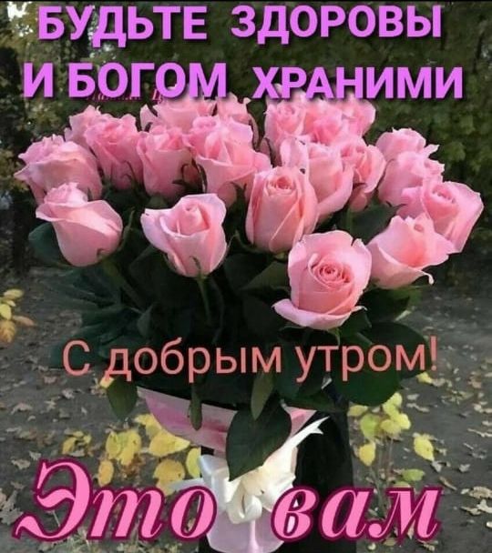 ёвудьтв здоровы _ И БОГ Т _ _С_добрьп УТРОМЬ г _ _ _ ____
