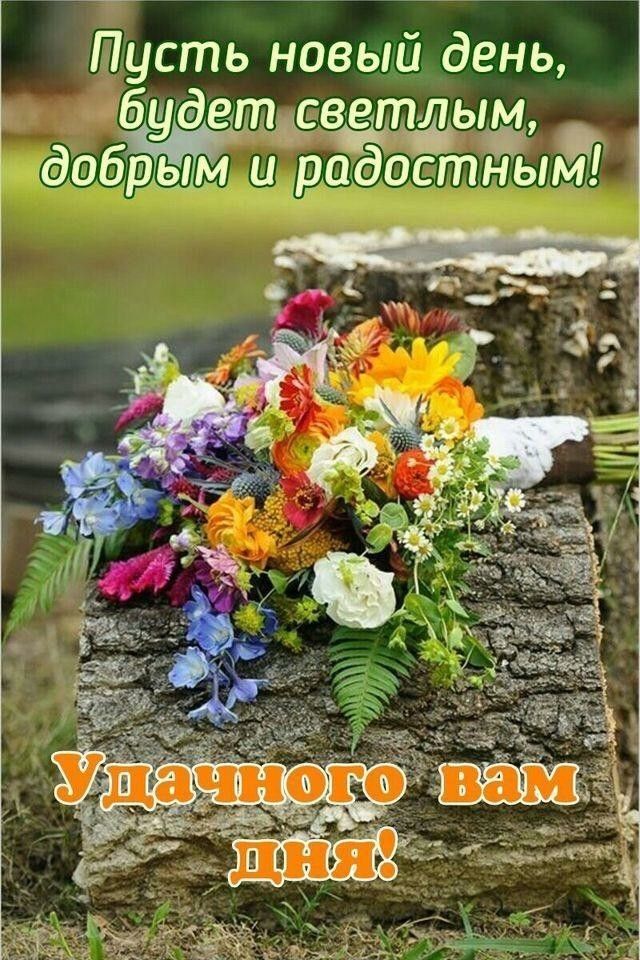 Пусть новый день будетдсведтыд ьцд обрели _и достным