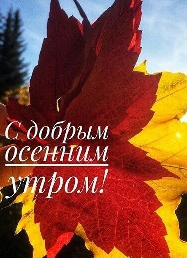7 С добрым ОСЁННЫМ утром