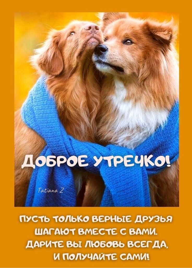 Евг пв типы ивг щук 313 НЦ дно пц ті ными дыцгітгі д диййчіце а2 А
