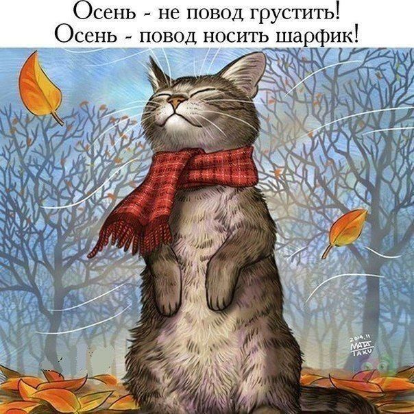 Осень не повод грустить Осень повод носить шарфик 7 И