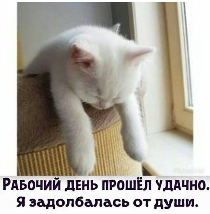 із к РАБОЧИЙ день прошёл УДАЧНО Я задолбалась от души
