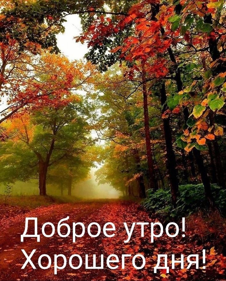 Доброе. Утро' хорошего дня ;
