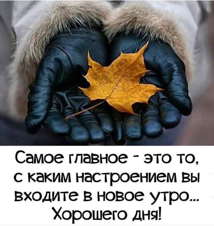 Самое главное это то с каким настроением вы входите в новое утро Хорошего дня