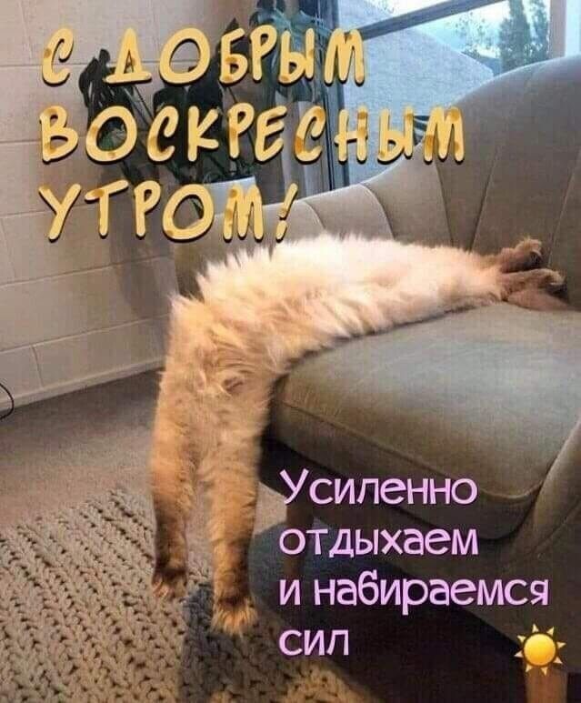 сипенно отдыхаем и набирается сип