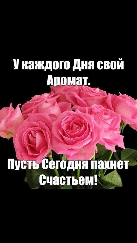 каждого дня свой