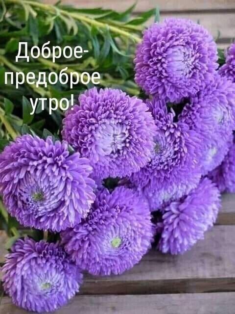 »     доброе! Предобрее
