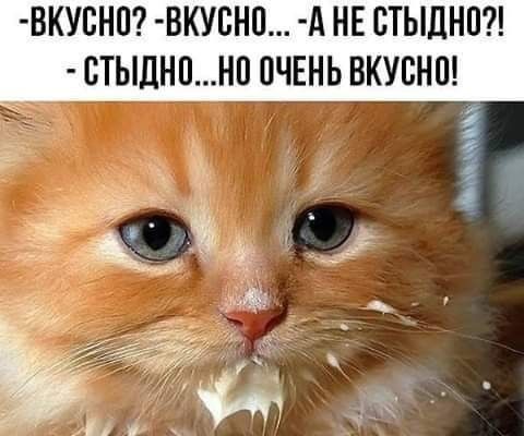 ВКУВНП ВКУВНП А НЕ СТЫДНП СТЫДНПНП ОЧЕНЬ ВКУЕНП