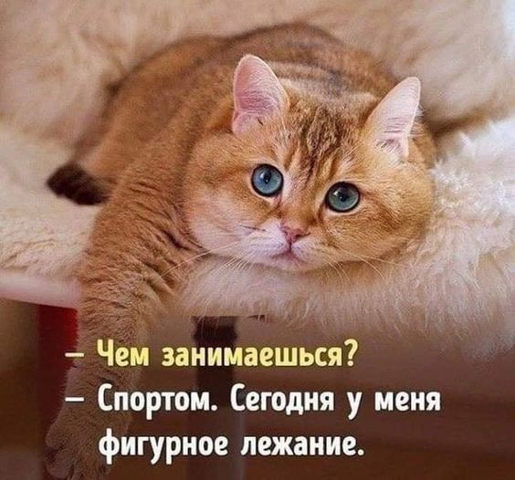 Спортом Сегодня у меня фигурное пежаиие