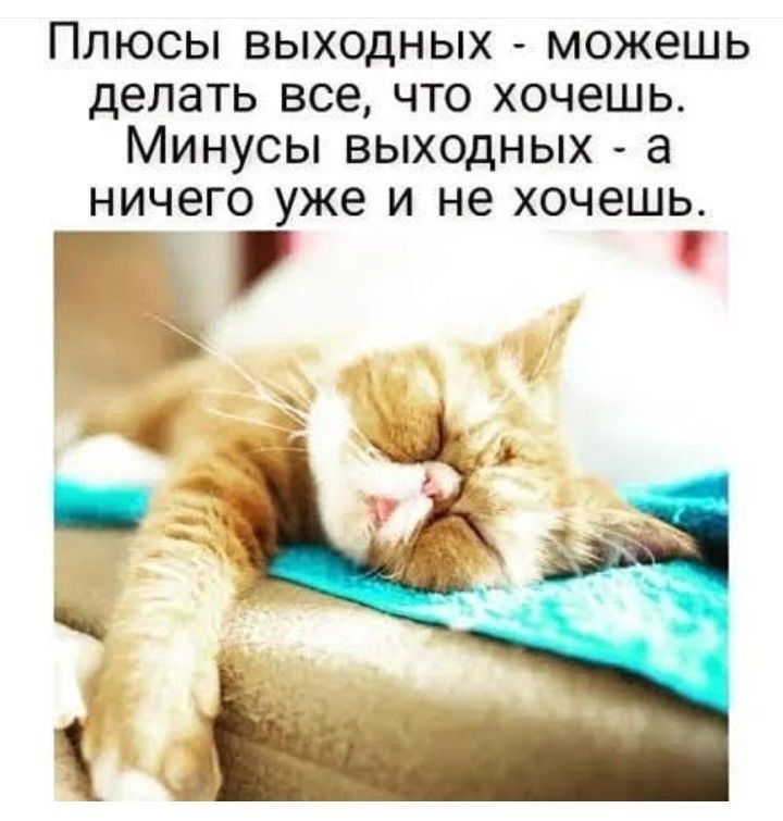 ПЛЮСЫ ВЫХОДНЫХ МОЖЭШЬ делать все ЧТО ХОЧЭШЬ МИНУСЫ ВЫХОДНЫХ а НИЧЗГО уже И не хочешь