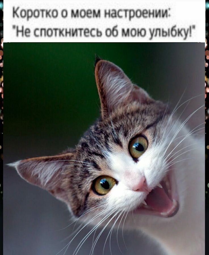Коротко о моем настроении Не споткнитесь 06 мою улыбку