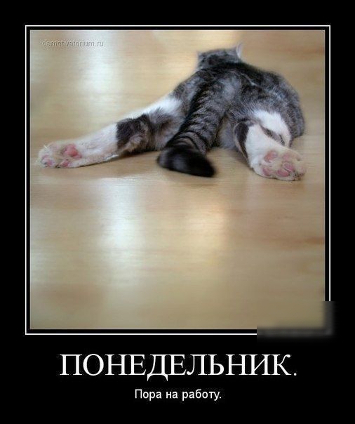 ПОНЕДЕЛЬНИК Пора на работу