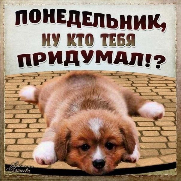 і понвдвпьнищЁ НУ КТО ТЕБЯ