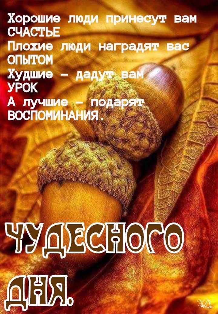 Хорошие люди приносут вам СЧАСТЬЕ Плохие люди наградят вас ОПЫТОМ Худшие дадутьваЁЦЦУ АРОК лучшие по ВОСПОМИНАНИЯ