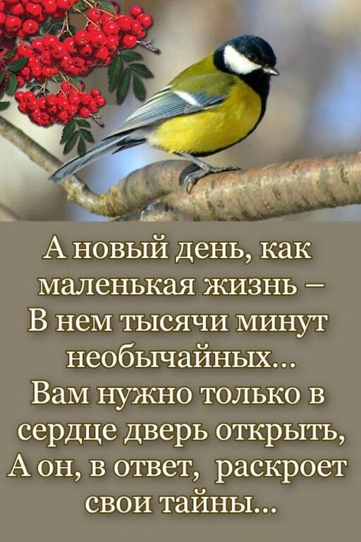 А новый День как маленькая жизнь В нем тысячи минут необычайных Вам нужно только в сердце дверь открыть А он в ответ раскроет свои тайны
