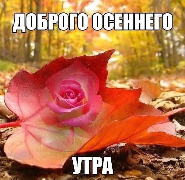 Довгого пеши о д о 19