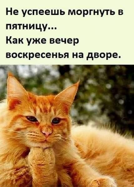 Не успеешь моргнуть в пятницу Как уже вечер воскресенья на дворе