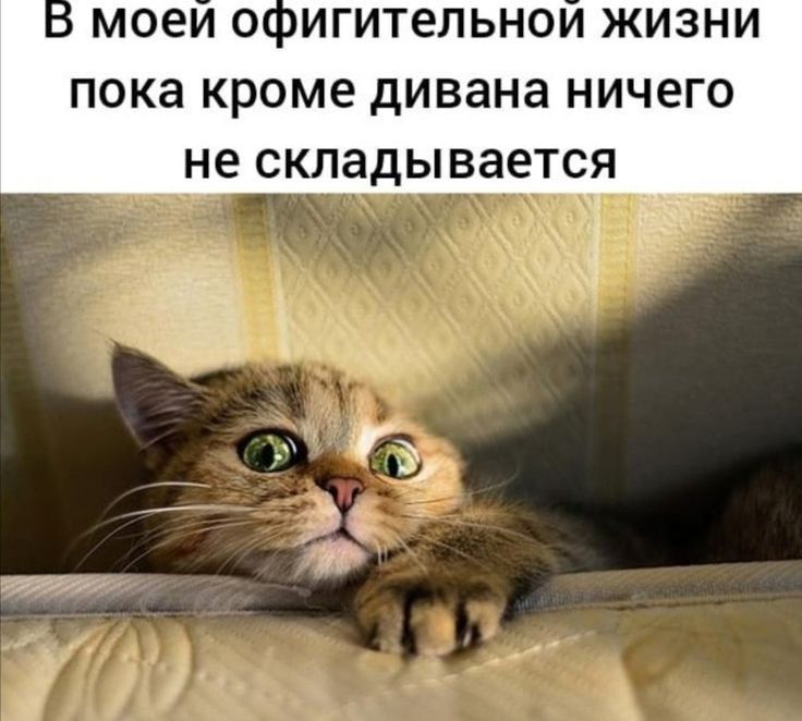 МОЕИ ОНИГИТЕЛЬНОИ ЖИЗНИ пока кроме дивана НИЧЭГО не СКЛЭДЫВЗЕТСЯ