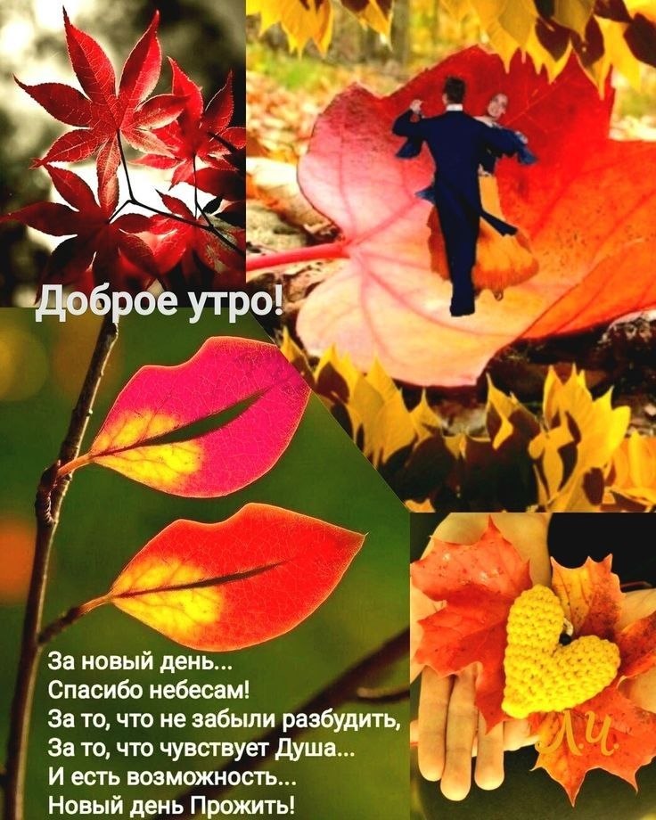 За новый день Спасибо небесам За то что не забыли разбудить _ За то что чувствует душа И есть возможность Новый день Прожить