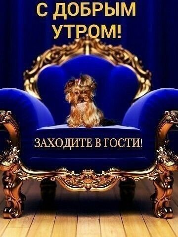 с доврым ут ЦМ Чж чъ р к_ ЗАХОДИТЕ В ГОСТИ д 7