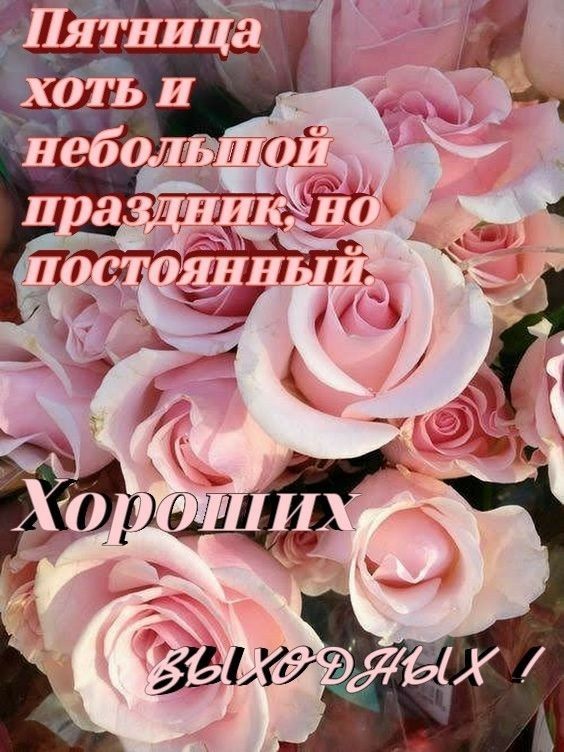 110_ч_гЁ11З1д