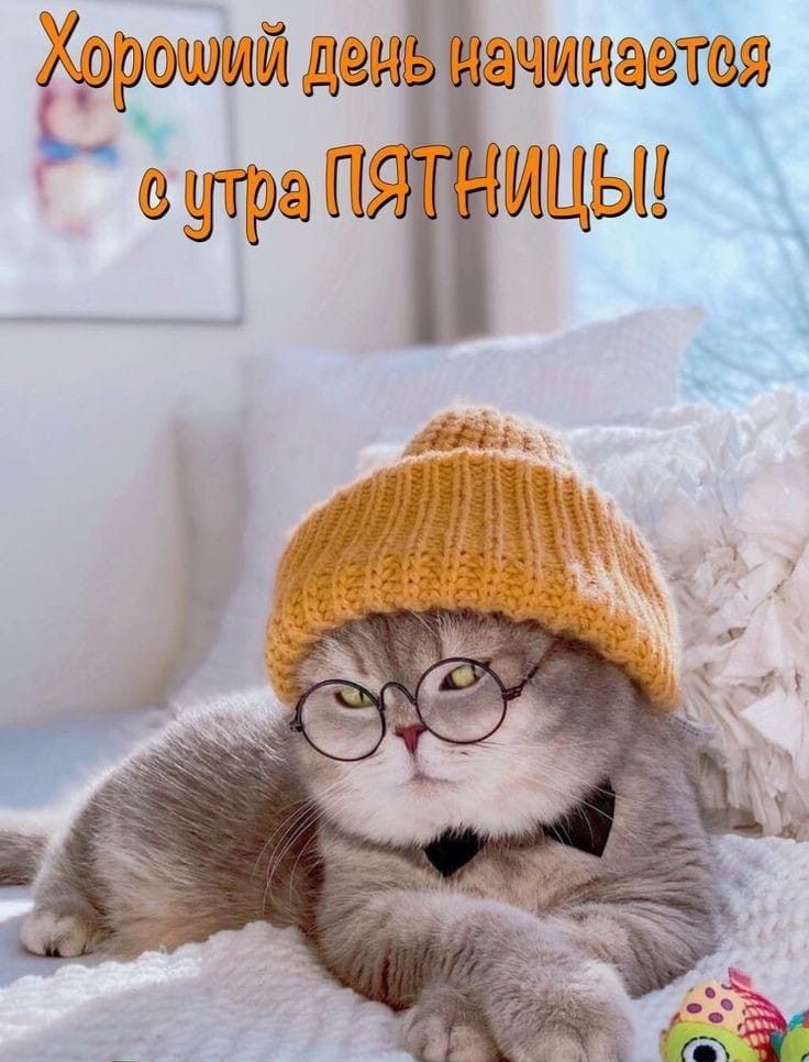 шэжй ъчё ЮО ЩЫЧ
