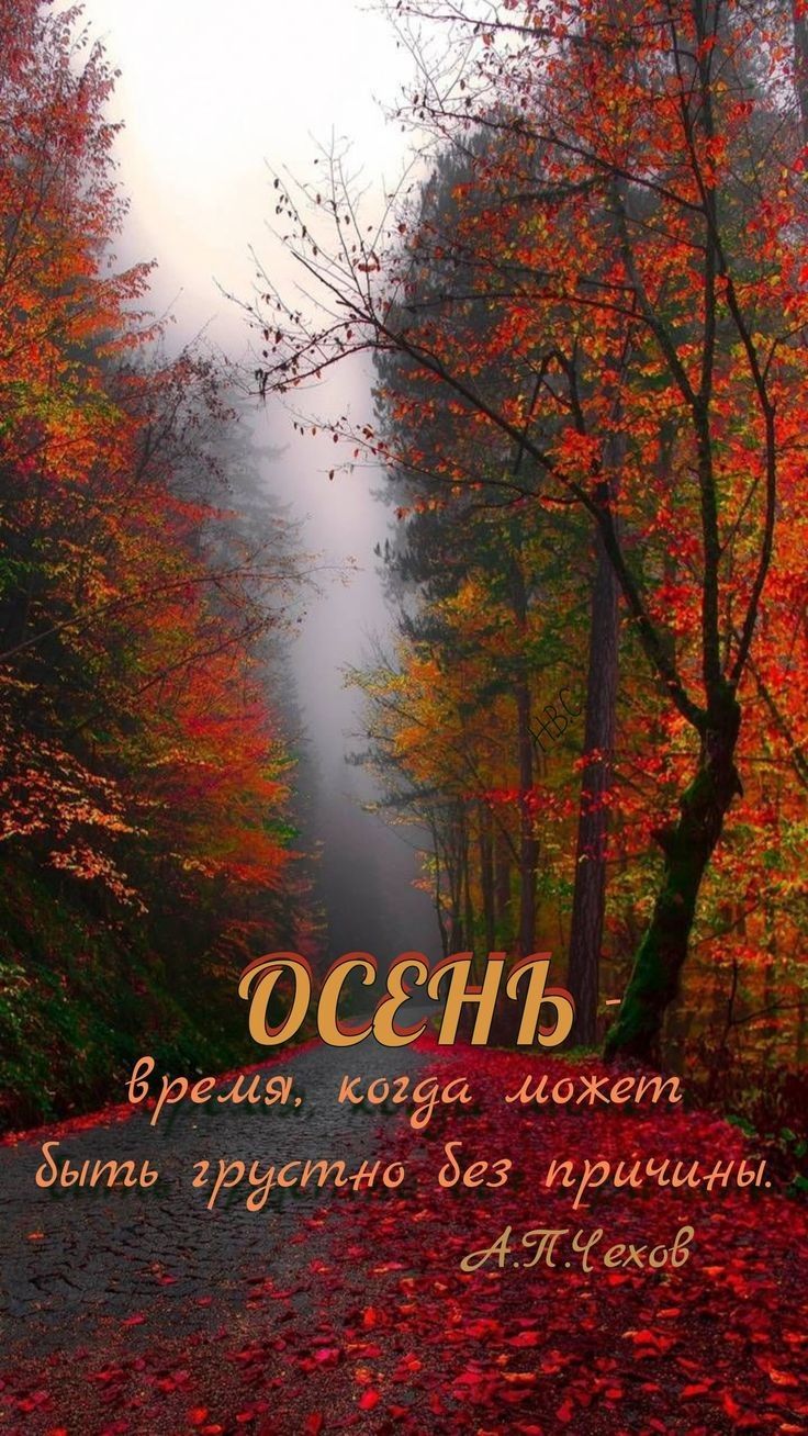 СЁНЪ Бремя когда может быть груштю без причины ИЁЁеход