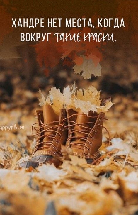 ХАНДРЕ НЕТ МЕСТА КОГДА ВОКРУГ ТИКИЕ КИШКИ