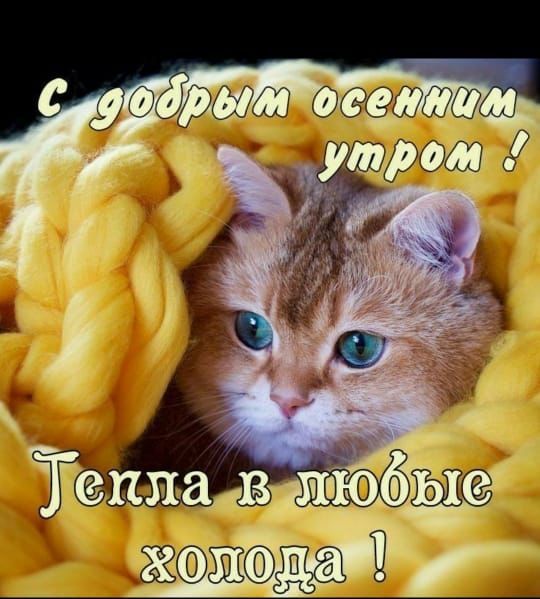 ОШ 1376787 _ _ да П
