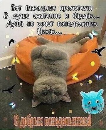 Ё  в дуж