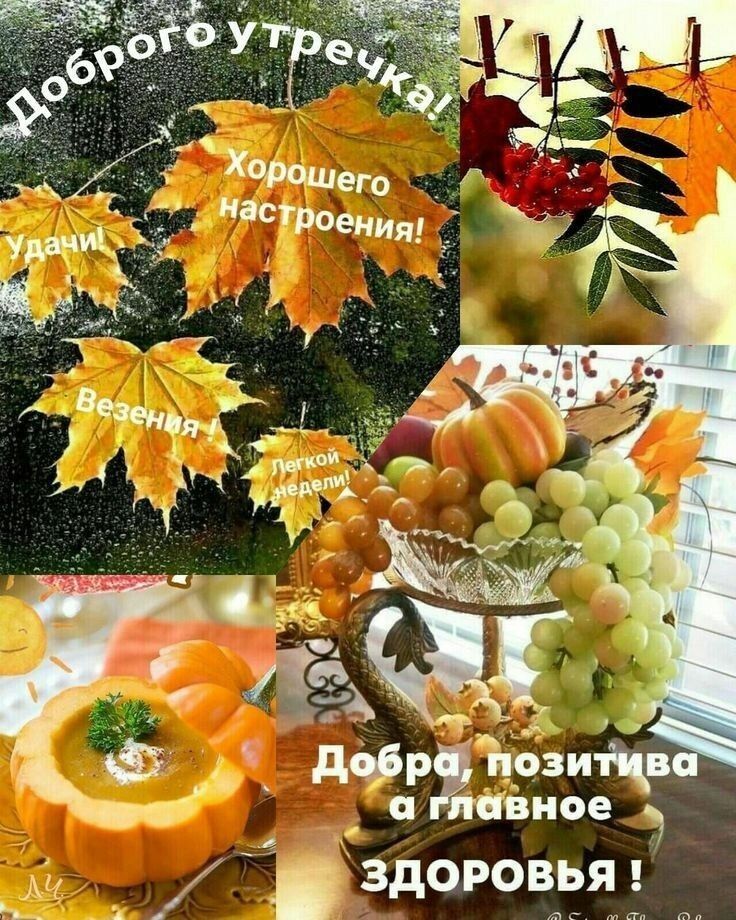 вное здоровтья тд