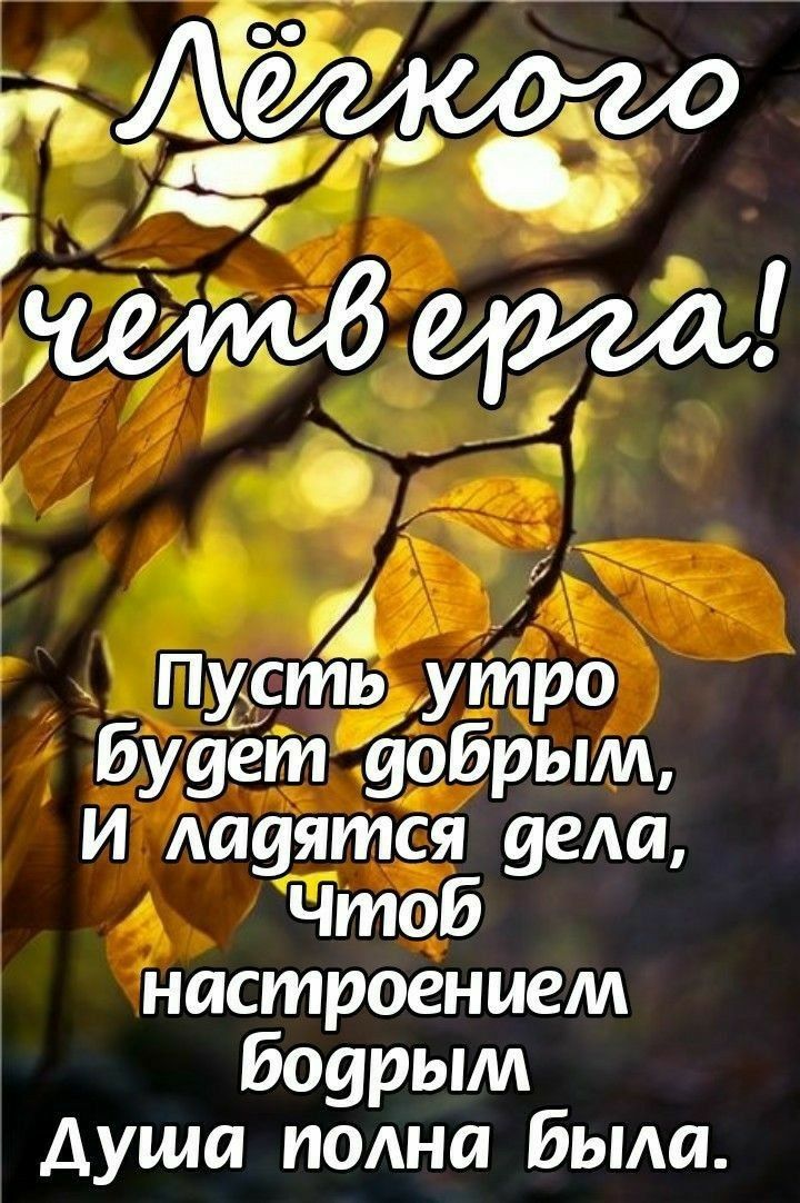 Лжть утро будет добрым и давятся веда чтоб настроением бодрым Душа полна Была