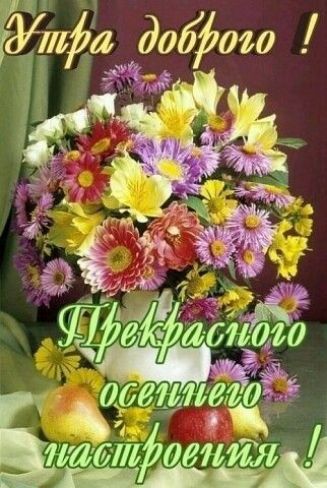 550 и Ъ тд344 дети пити дент