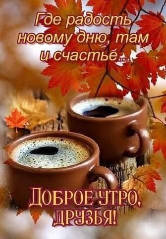 Где ерадееть невомудню там исчастьёдр О ШРЦЗЬЯ