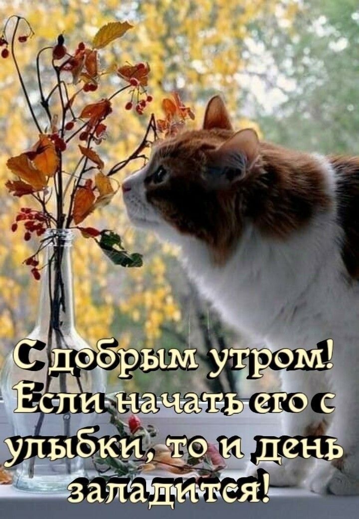 Дю брым ут вом гс п аЧат 0 лы кщ то