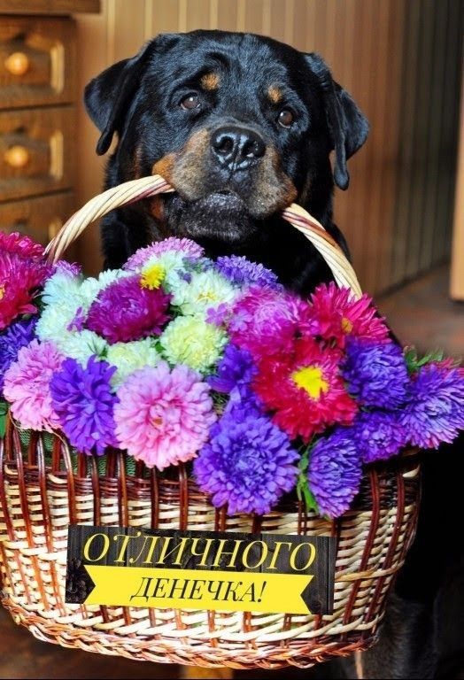 35555 а ОТЛИЧНОГО
