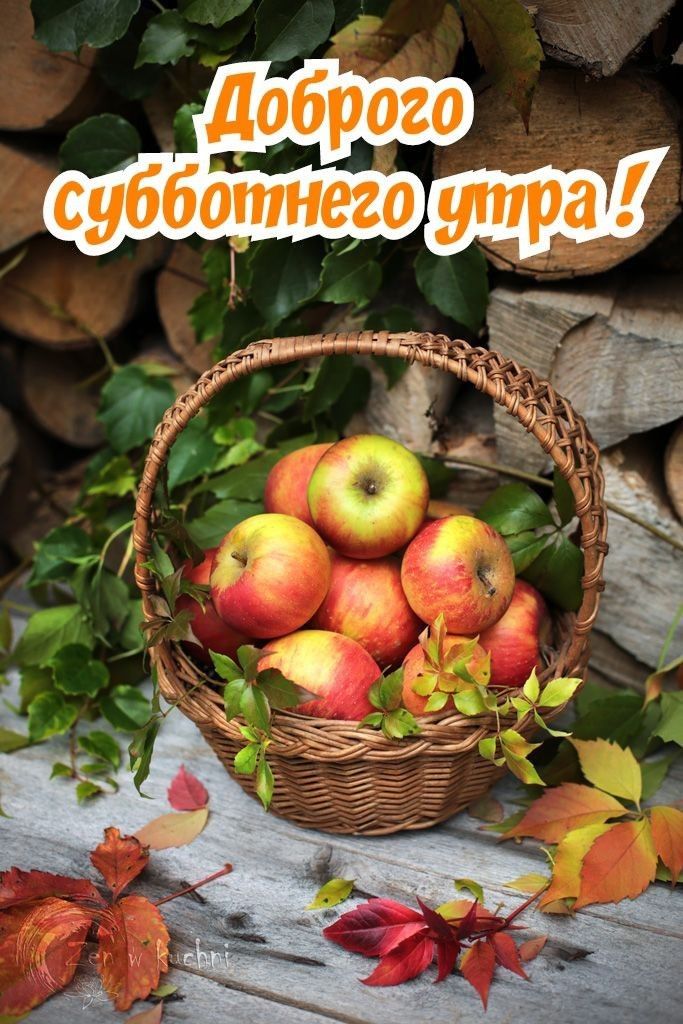 Доброго суббо его
