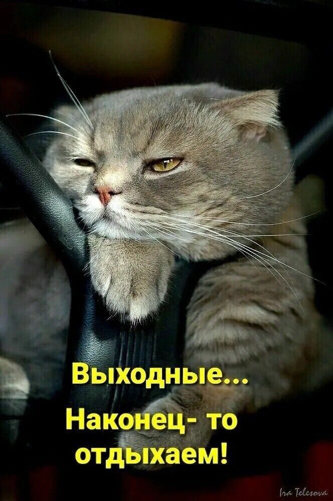 ні Ёходны Ум Мима