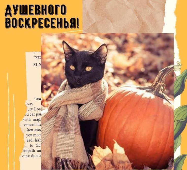 АУШЕМЮП ВОВКРЕЁЕНЬЯ _а он рш шар ошо оПЬь цев с ю ш юірпш Аопо тут і