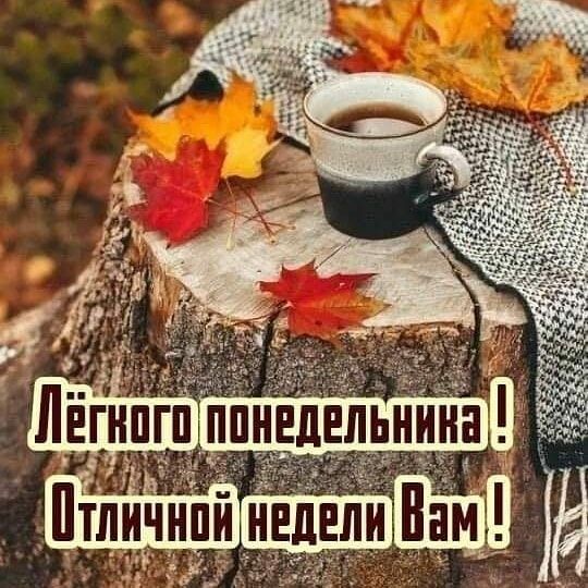 Тч